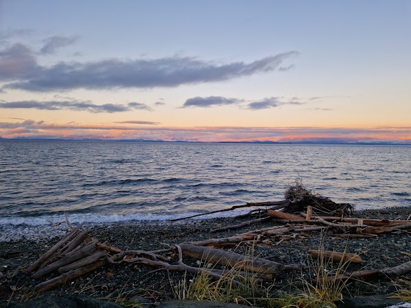 Salmon Beach 1