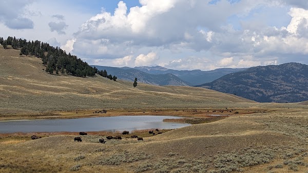 Lamar River 3