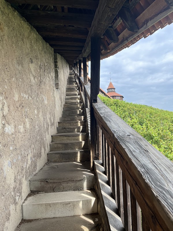 Esslingen am Neckar Castle 3