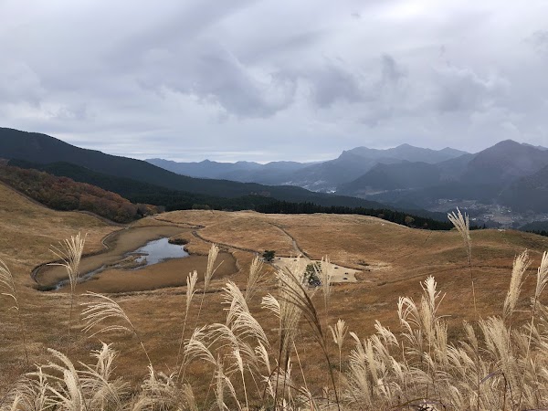 Okame Pond 4