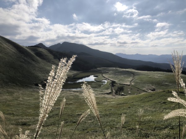 Okame Pond 2