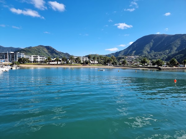 Picton 5