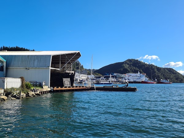 Picton 4