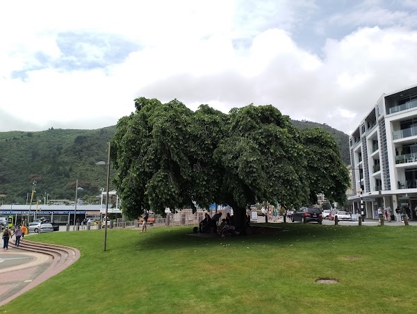 Picton 2