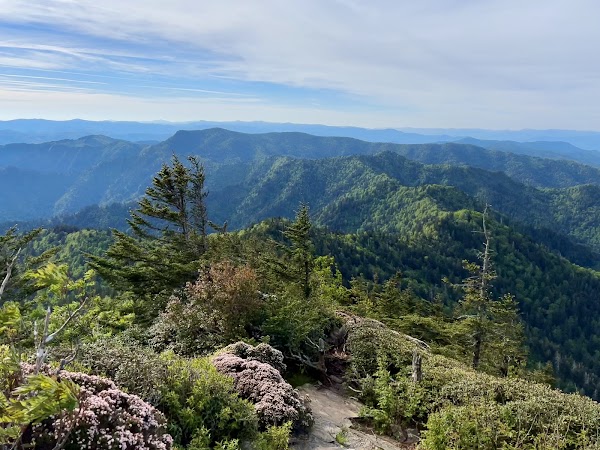 Mount Le Conte 5