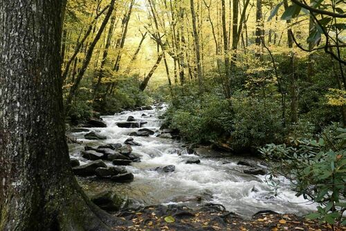 Mount Le Conte 4