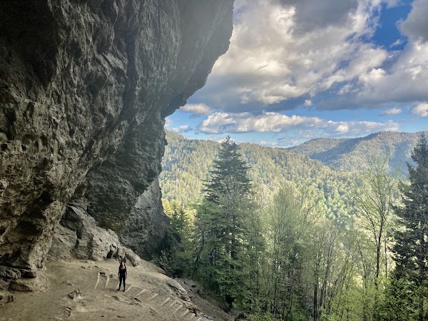 Mount Le Conte 3
