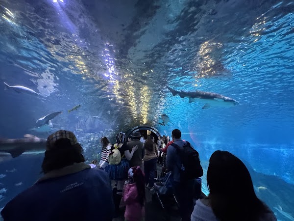 Adventure Aquarium