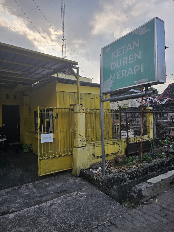 Ketan Duren Merapi 1