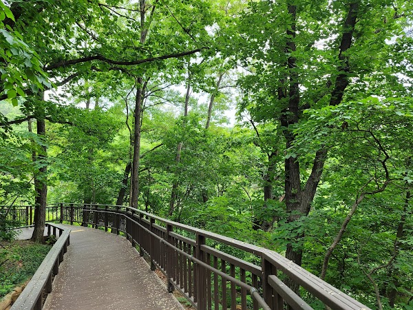 Daemosan City Environment Park 5