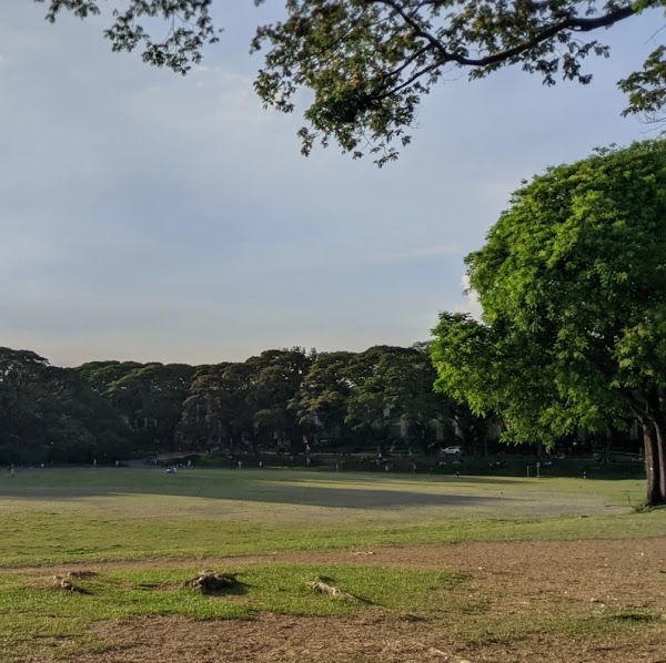 University of the Philippines Diliman 4