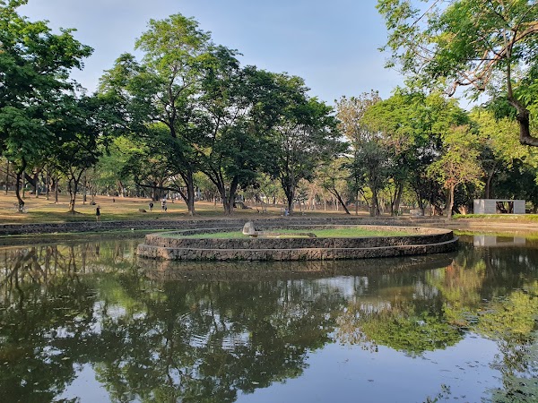 University of the Philippines Diliman 3