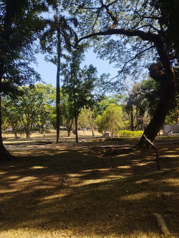 University of the Philippines Diliman 2