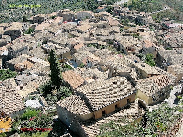 Gerace 4