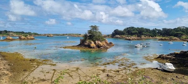 Île-de-Bréhat 2