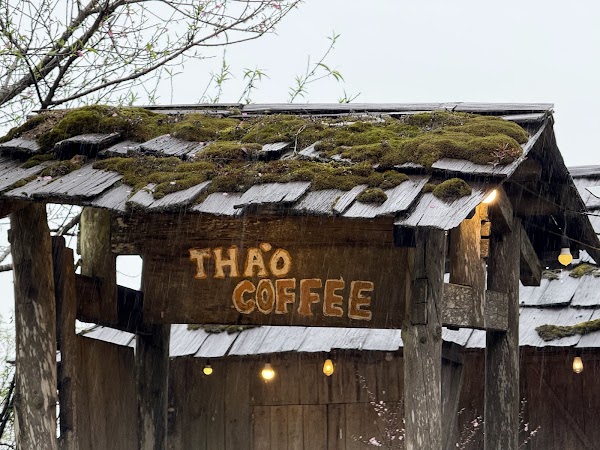 Thào Coffee Tà Xùa 3