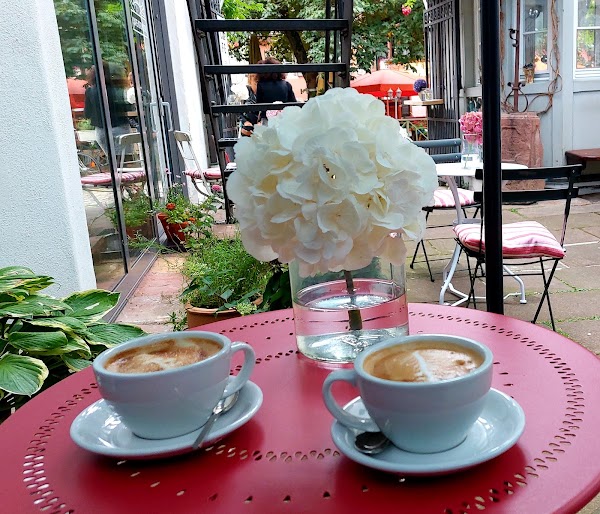 Café Krokodil 5