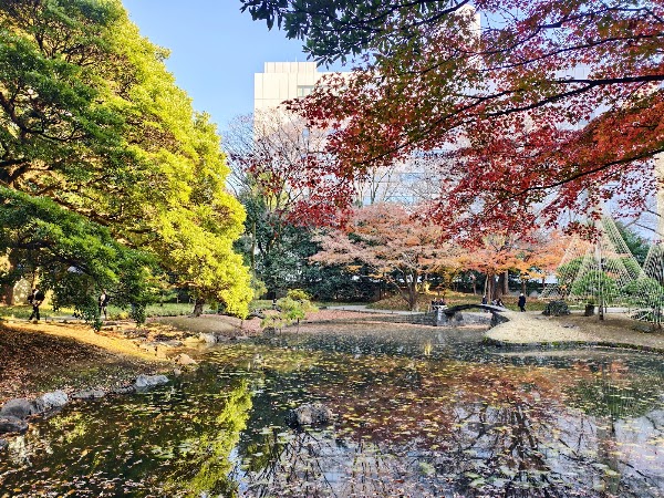 Koishikawa Korakuen Garden 5