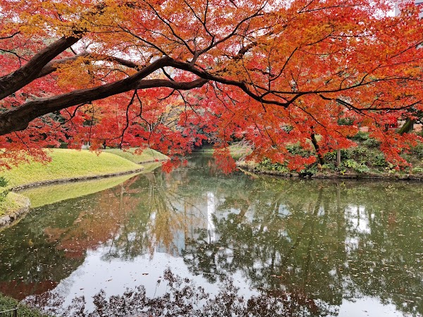 Koishikawa Korakuen Garden 4
