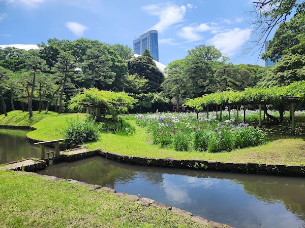 Koishikawa Korakuen Garden 3