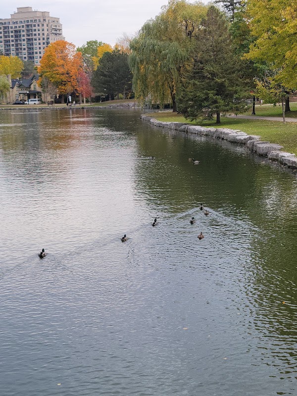 Kitchener 5