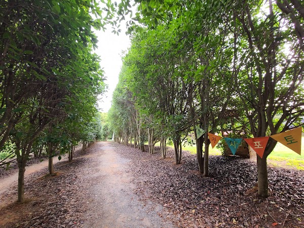 Cheongsan Arboretum 5