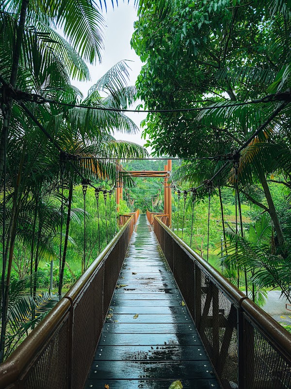 Punggol Waterway Park 3