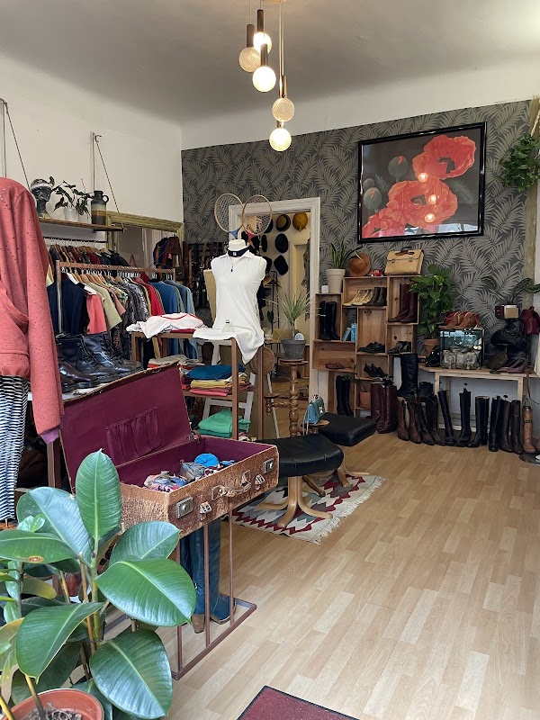 Scusi Vintage 5