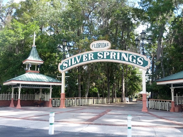 Silver Springs State Park 4