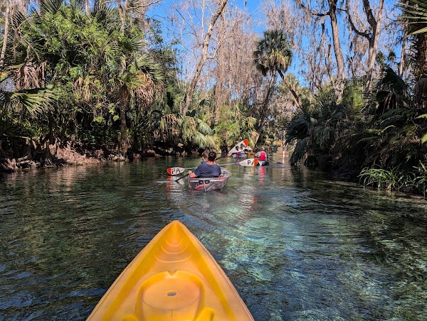 Silver Springs State Park 3