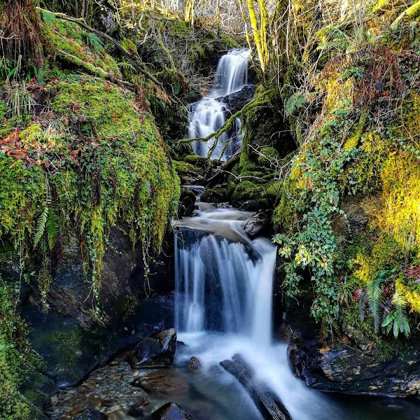 Fairy Bridge of Glen Creran 5