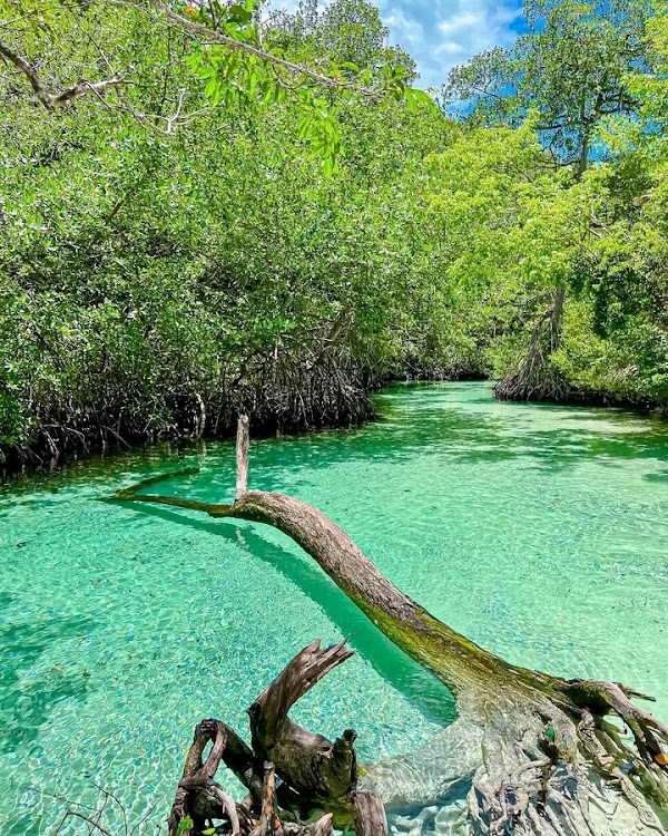 Caño Frío