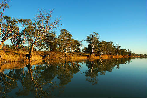 Murray River