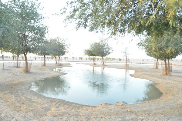 Half Moon Lake 3
