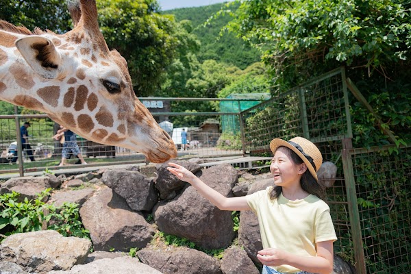 Izu Animal Kingdom