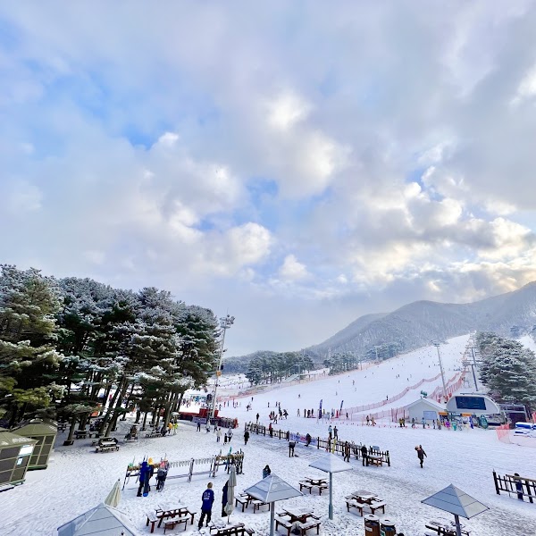 Jisan Forest Resort