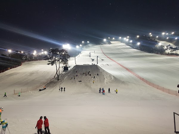 Jisan Forest Resort 5
