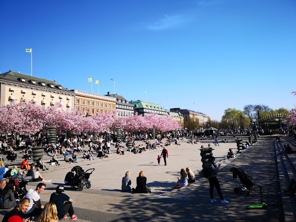 Kungsträdgården 5