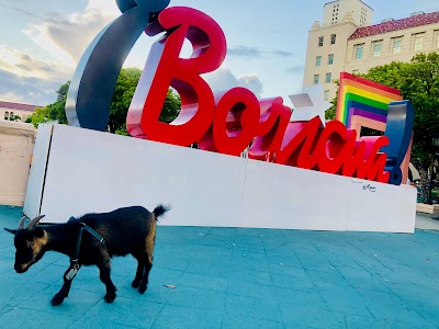 Sign ¡Boricua!