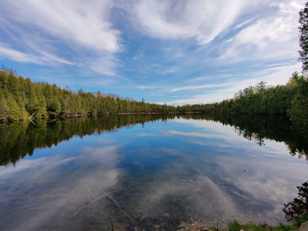 Crawford Lake