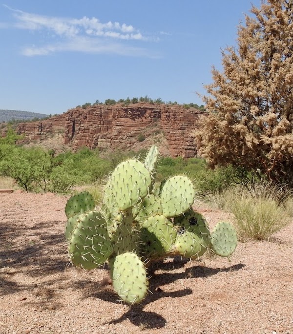 Red Rock State Park 4