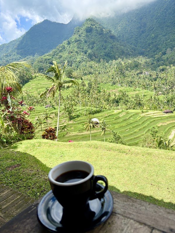 Fiji Coffee Bali 2