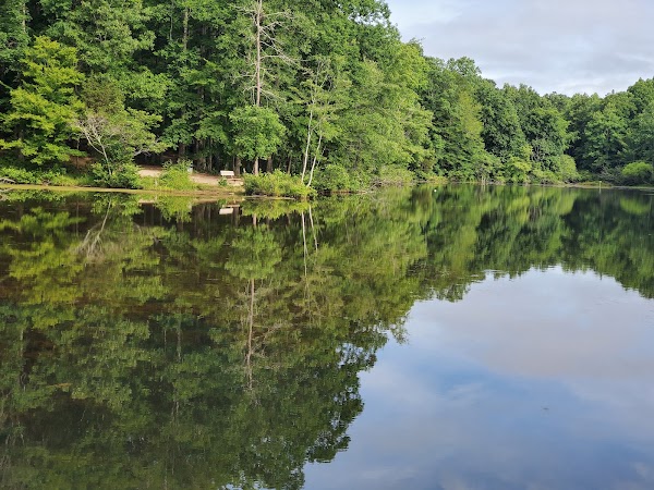 Reedy Creek Nature Preserve 5