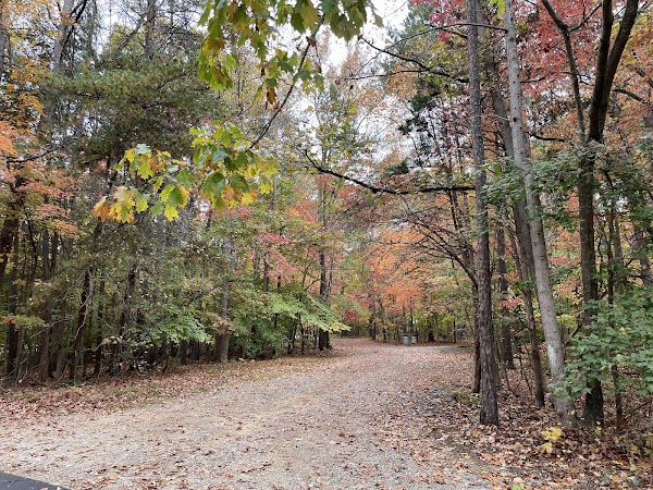Reedy Creek Nature Preserve 2