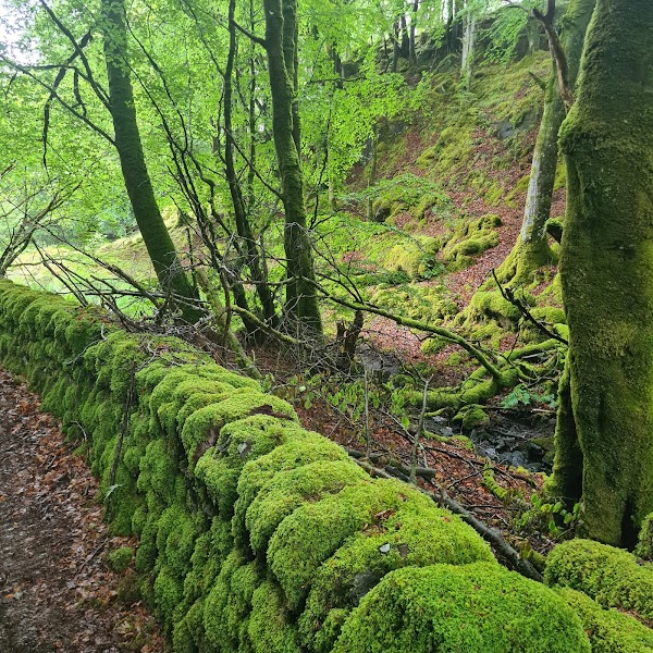 Oskamull - Isle of Ulva