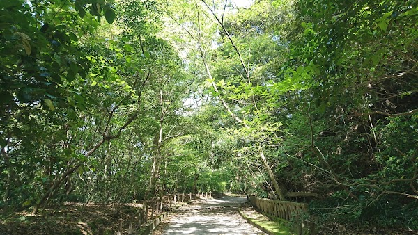 Shiroyama Park 2