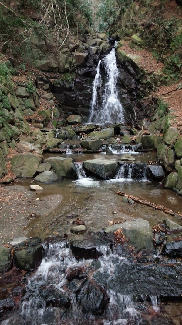 Hiraoka Park 5