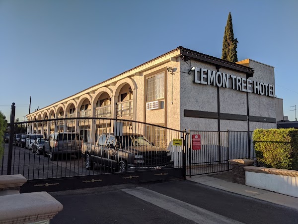 Lemon Tree Hotel and suites