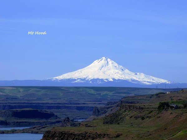 Mount Hood 5
