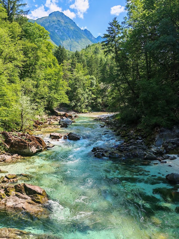 Brv Brjeka